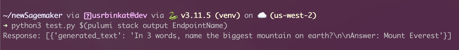 Screenshot of executing test.py in terminal to generate a response to the question “what is the biggest mountain on earth?”